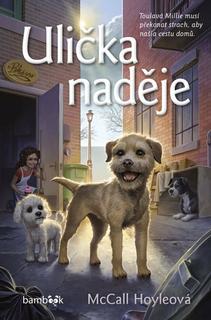 Kniha: Ulička naděje - McCall Hoyleová