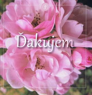 Kniha: Ďakujem - 1. vydanie - Soňa Vancáková