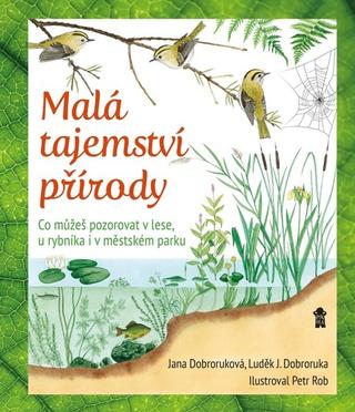 Kniha: Malá tajemství přírody I - Práce v přírodě - 1. vydanie - Luděk J. Dobroruka