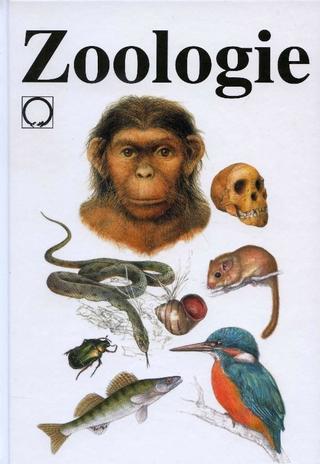 Kniha: Zoologie - Vladimír Zicháček