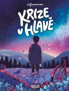Kniha: Krize v hlavě - Alfonso Casas