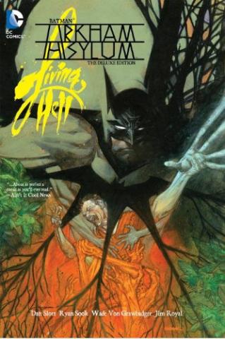 Kniha: Batman Arkham Asylum Living Hell Deluxe Ed - Ryan Sook;Dan Slott