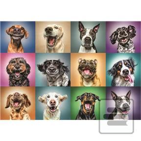 Funny dogs - puzzle 1000
