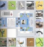 Kniha: Pexeso - Vtáky - kolektív autorov