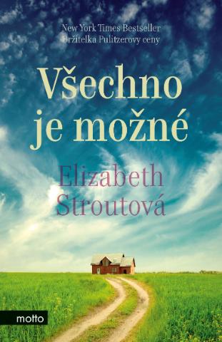 Kniha: Všechno je možné - 1. vydanie - Elizabeth Stroutová