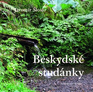Kniha: Beskydské studánky - 1. vydanie - Jaromír Šlosar