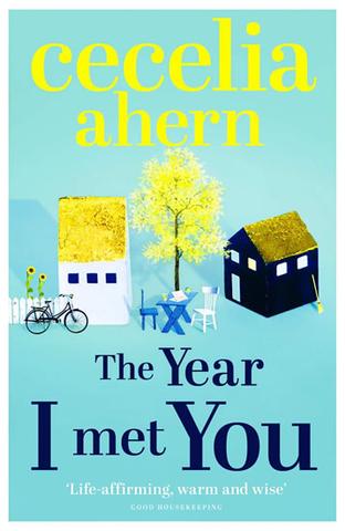 Kniha: The Year I Met You - Cecelia Ahernová