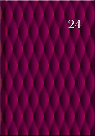 Knižný diár: Denní diář A5 cz/sk Print Burgundy
