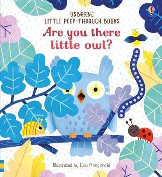 Kniha: Are you there little owl - 1. vydanie - Sam Taplin