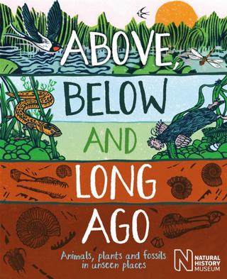 Kniha: Above, Below and Long Ago - Michael Bright