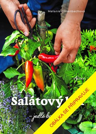 Kniha: Salátový bar - Jedlé balkony - 1. vydanie - Melanie Öhlenbach