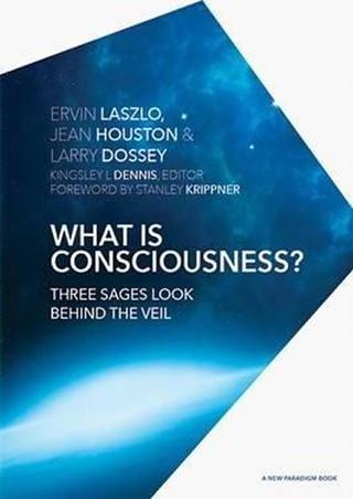 Kniha: What is Consciousness? : Three Sages Look Behind the Veil - 1. vydanie - Ervin Laszlo
