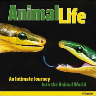 Kniha: Animal Life - Heidy Hans-Jurgen