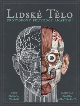 Kniha: Lidské tělo - prostorová encyklopedie - 1. vydanie - Richard Walker