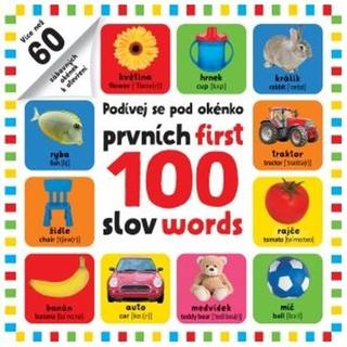 Kniha: Podívej se pod okénko Prvních 100 slov - First 100 words - 1. vydanie