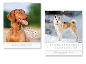 Kalendár nástenný: Malý Dogs - nástěnný kalendář 2020