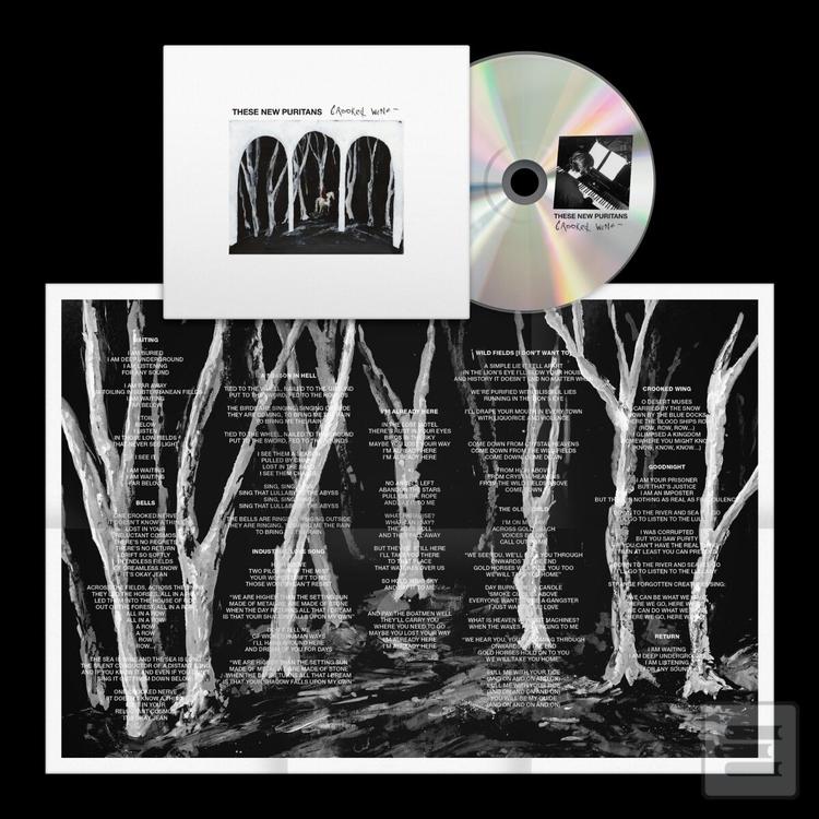 These New Puritans:  Cro… (These New Puritans)