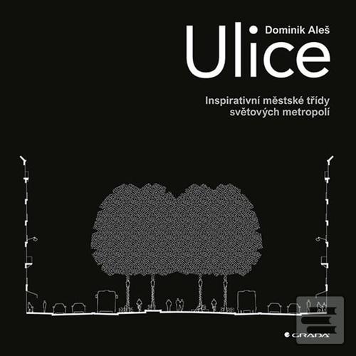 Ulice (Dominik Aleš)