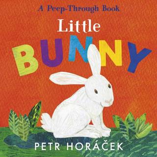Kniha: Little Bunny - Petr Horáček
