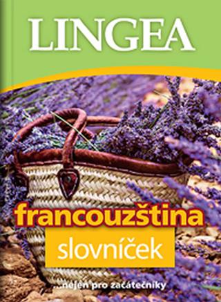 Kniha: Francouzština slovníček - ...nejen pro začátečníky