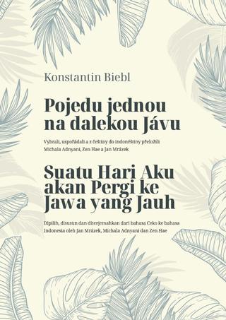 Kniha: Pojedu jednou na dalekou Jávu - 1. vydanie - Konstantin Biebl