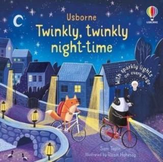 Kniha: Twinkly Twinkly Night Time - Sam Taplin