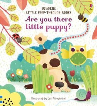 Kniha: Are you there little puppy - Sam Taplin