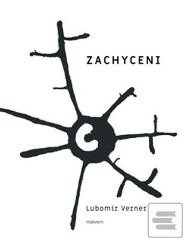 Zachycení (Lubomír Verner)