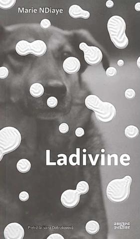 Kniha: Ladivine - Marie Ndiaye