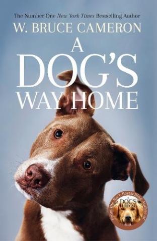 Kniha: A Dogs Way Home - W. Bruce Cameron