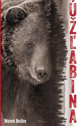 Kniha: Úžlabina - 1. vydanie - Marek Boško