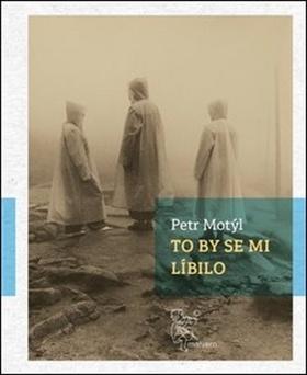 Kniha: To by se mi líbilo - Petr Motýl