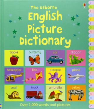 Kniha: English Picture Dictionary - Felicity Brooksová