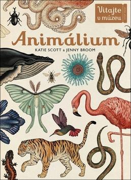 Kniha: Animálium - Preskúmajte ríšu zvierat v celej jej nádhere! - Katie Scott; Jenny Broom
