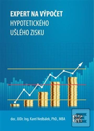 Kniha: Expert na ušlý zisk, hypotetický zisk a újmu - Karel Nedbálek