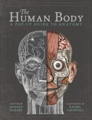 Kniha: The Human Body - Richard Walker