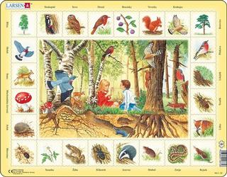 Puzzle: Puzzle Příroda Les