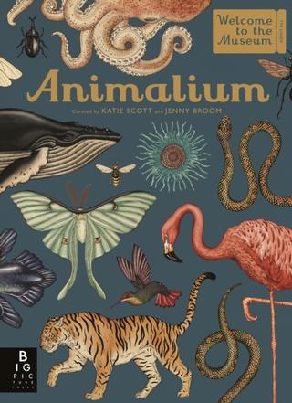 Kniha: Animalium