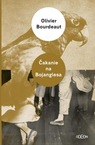 Kniha: Čakanie na pána Bojanglesa - 1. vydanie - Oliver Bourdeaut