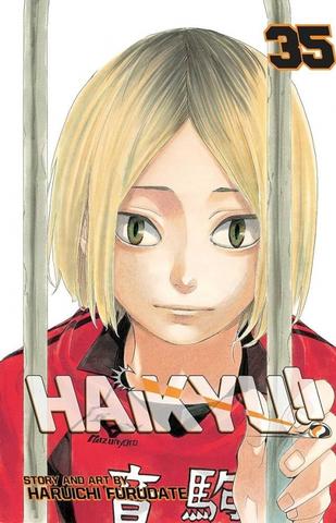 Kniha: Haikyu!! 35 - 1. vydanie - Haruichi Furudate