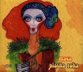 Kniha: Maca: Platňa Roka - CD - Radek Maca