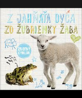 Kniha: Životný cyklus – Z jahňaťa ovca, zo žubrienky žaba - Životný cyklus - 1. vydanie - Holly Duhig
