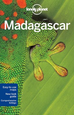 Kniha: Madagascar 8 - Emilie Filou;Anthony Ham;Helen Ranger