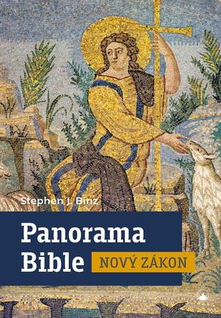 Kniha: Panorama Bible Nový zákon - 1. vydanie - Stephen J. Binz