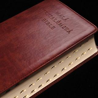 Kniha: Malá Jeruzalémská bible - Dagmar a František Halasovi