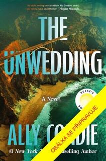 Kniha: Sliby a lži - Ally Condieová