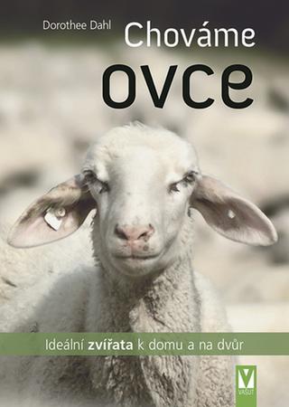 Kniha: Chováme ovce - ideální zvířata k domu a na dvůr - 1. vydanie - Dorothee Dahl