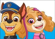 Kniha: Moje omalovánky Tlapková patrola