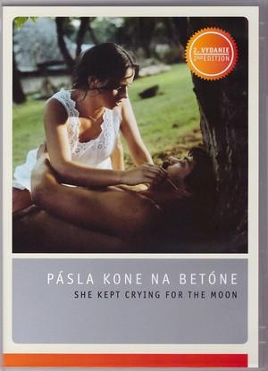 DVD: Pásla kone na betóne