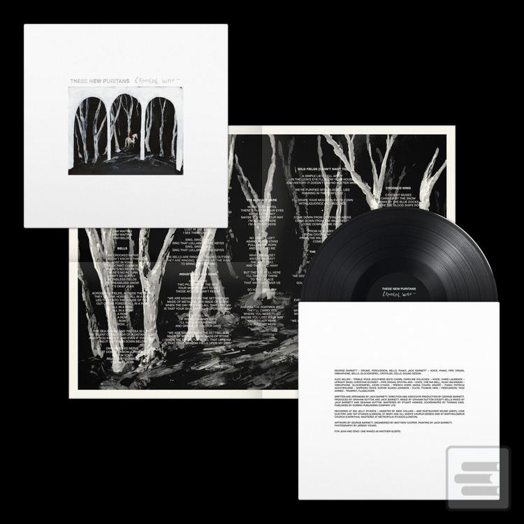 These New Puritans:  Cro… (These New Puritans)